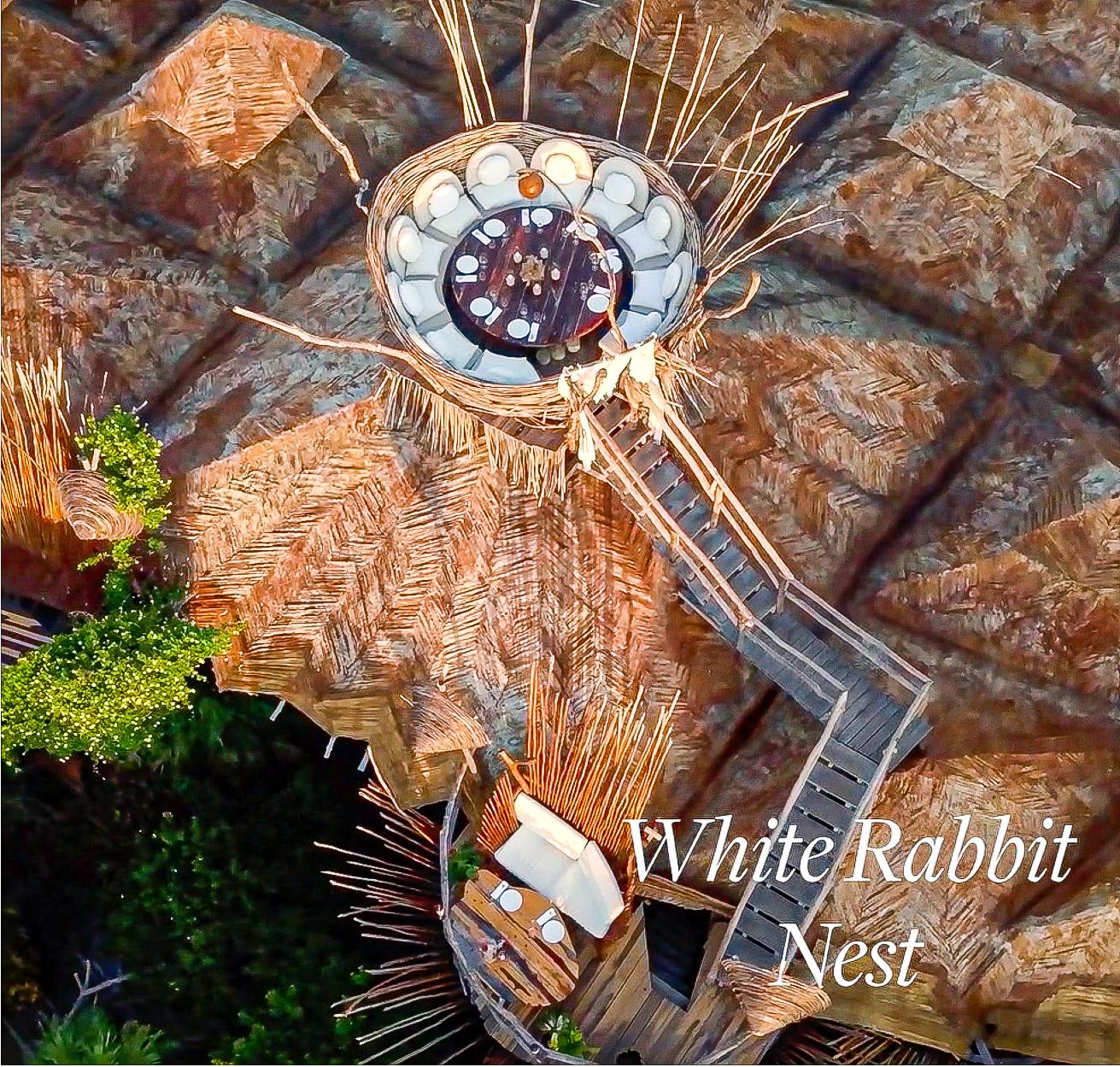 Kin Toh White Rabbit Nest